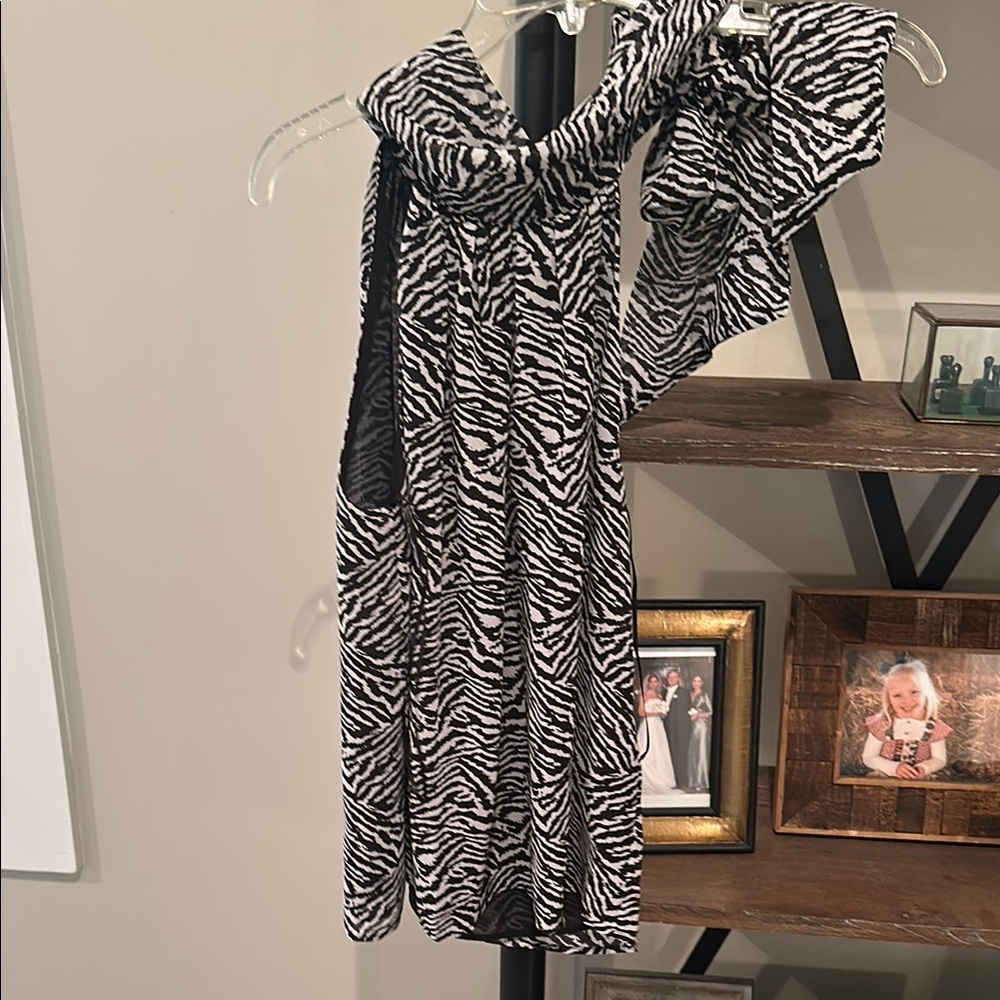 Zebra Print Sleeveless Dress